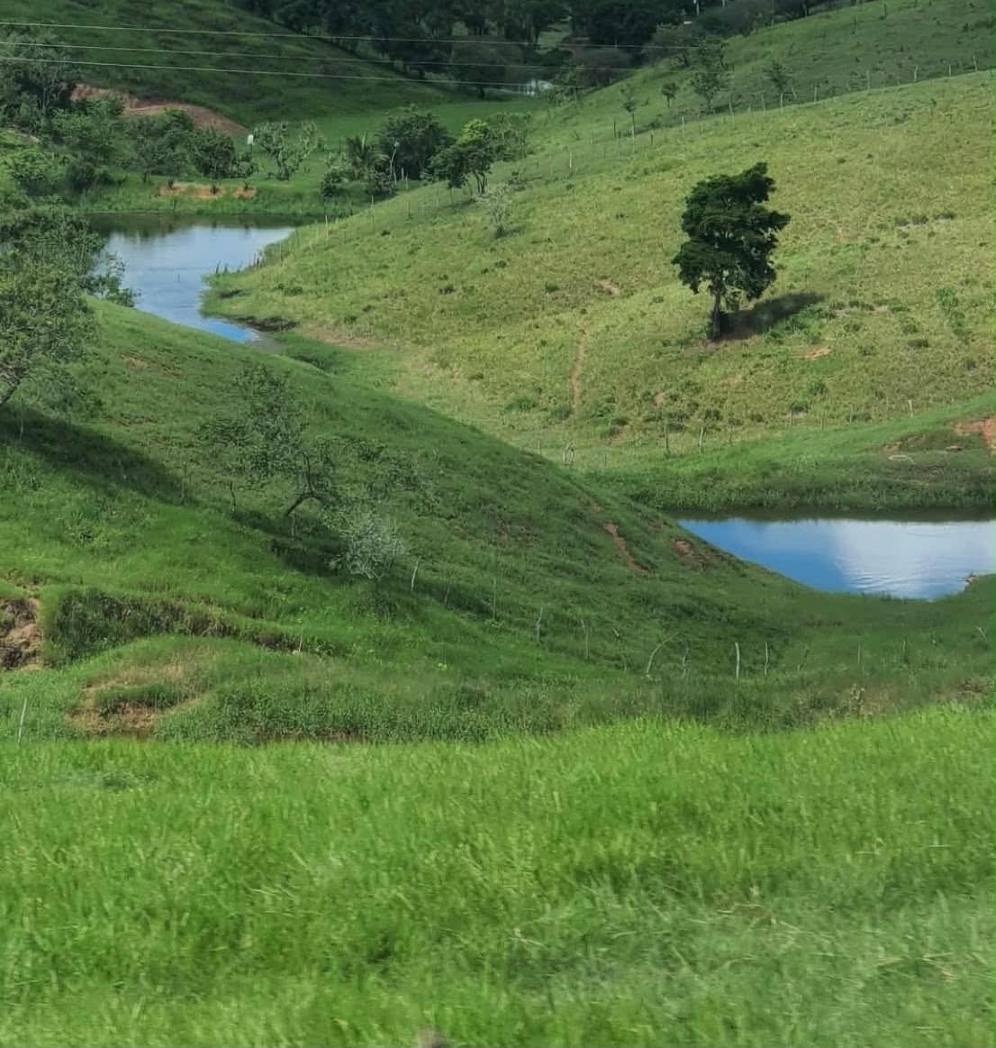 Rio de águas plainas na propriedade em Paraisópolis