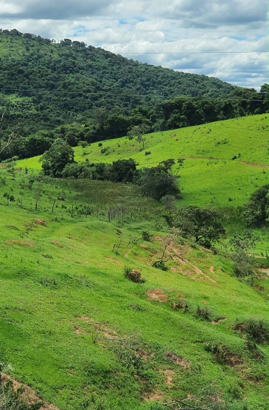 Vista da colina da propriedade